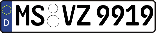 MS-VZ9919