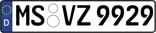 MS-VZ9929