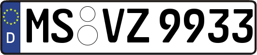 MS-VZ9933