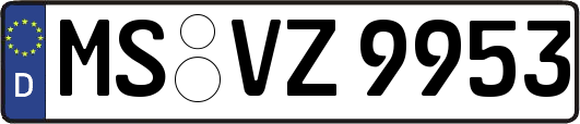 MS-VZ9953