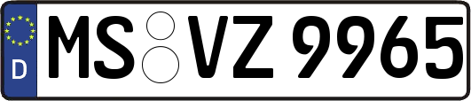 MS-VZ9965
