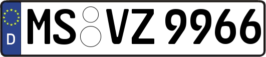 MS-VZ9966