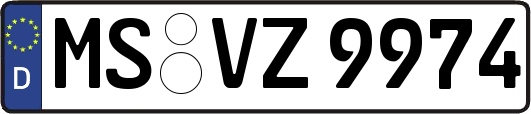 MS-VZ9974