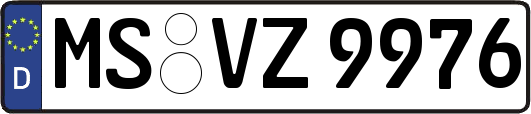 MS-VZ9976
