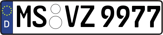 MS-VZ9977