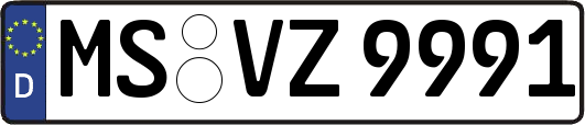 MS-VZ9991