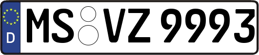 MS-VZ9993