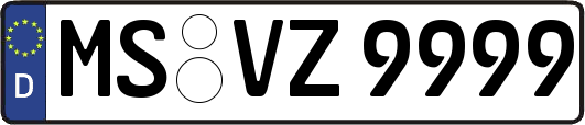 MS-VZ9999