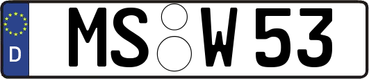 MS-W53