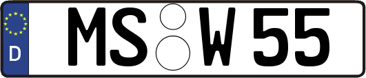 MS-W55