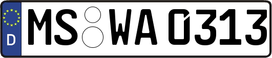 MS-WA0313