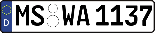 MS-WA1137