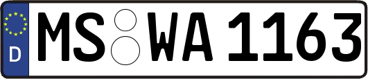 MS-WA1163