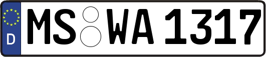 MS-WA1317