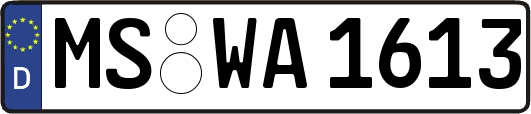 MS-WA1613