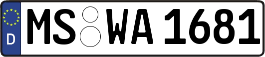 MS-WA1681