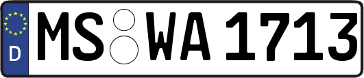 MS-WA1713