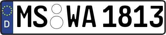 MS-WA1813