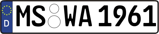 MS-WA1961