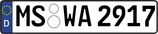 MS-WA2917