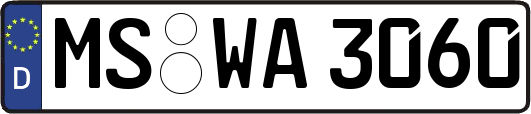 MS-WA3060