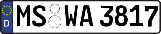 MS-WA3817