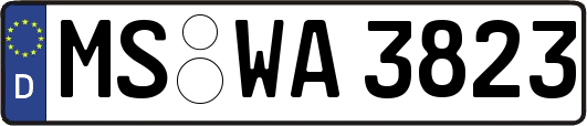 MS-WA3823