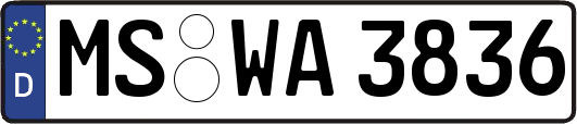 MS-WA3836