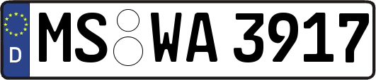 MS-WA3917