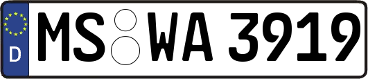 MS-WA3919