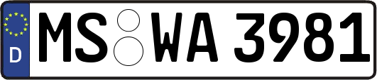 MS-WA3981