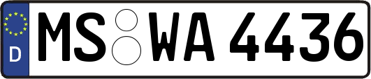 MS-WA4436