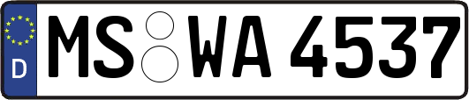 MS-WA4537