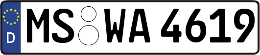 MS-WA4619