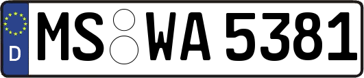 MS-WA5381