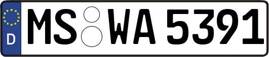 MS-WA5391