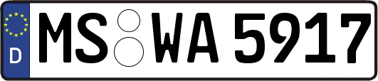 MS-WA5917