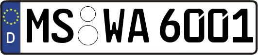 MS-WA6001