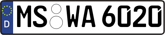 MS-WA6020