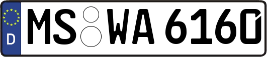 MS-WA6160