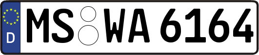 MS-WA6164