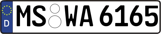 MS-WA6165