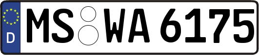 MS-WA6175