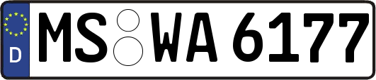 MS-WA6177