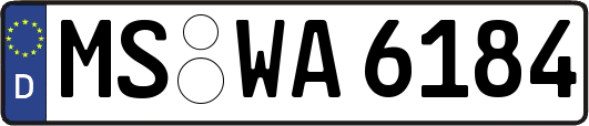 MS-WA6184