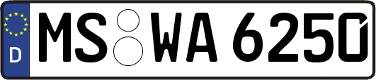 MS-WA6250