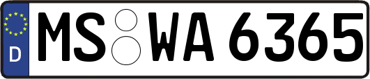 MS-WA6365