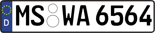MS-WA6564