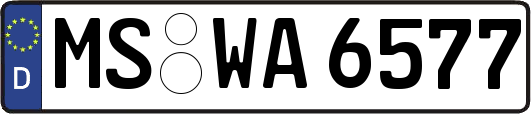 MS-WA6577
