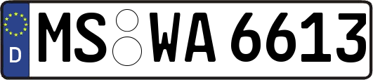 MS-WA6613